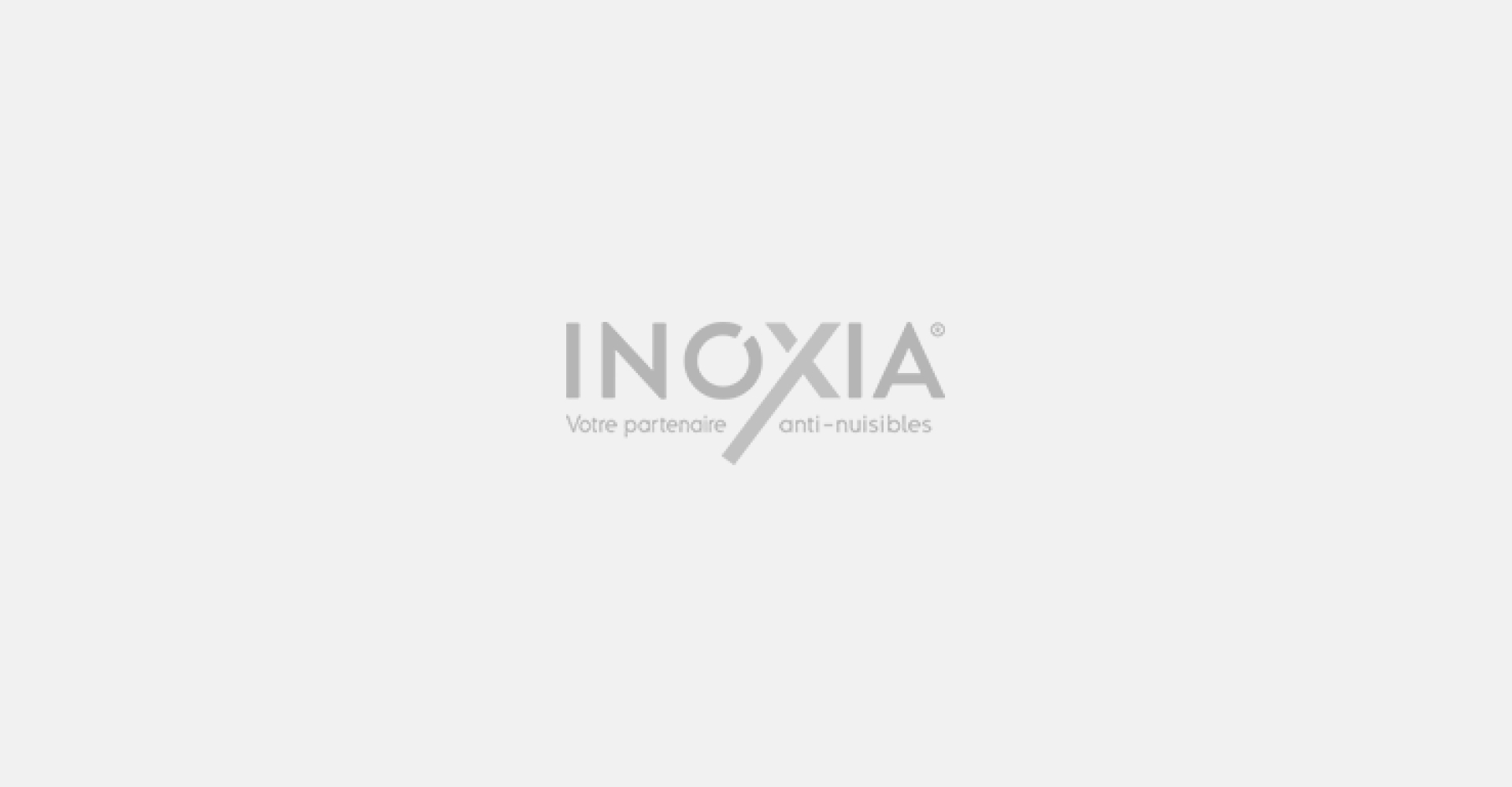Moustiques et traitement des guêpes : protégez votre foyer et votre entreprise avec Inoxia